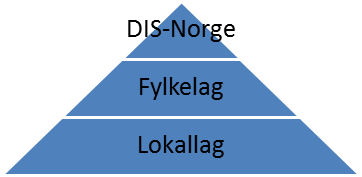 Fil:DIS-Norge organisation.png